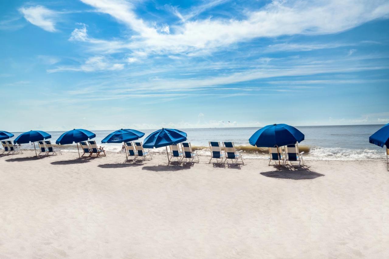 Palette Resort شاطئ ميرتل المظهر الخارجي الصورة